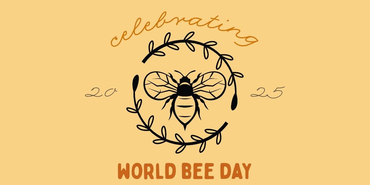 Celebrating World Bee Day! 🐝